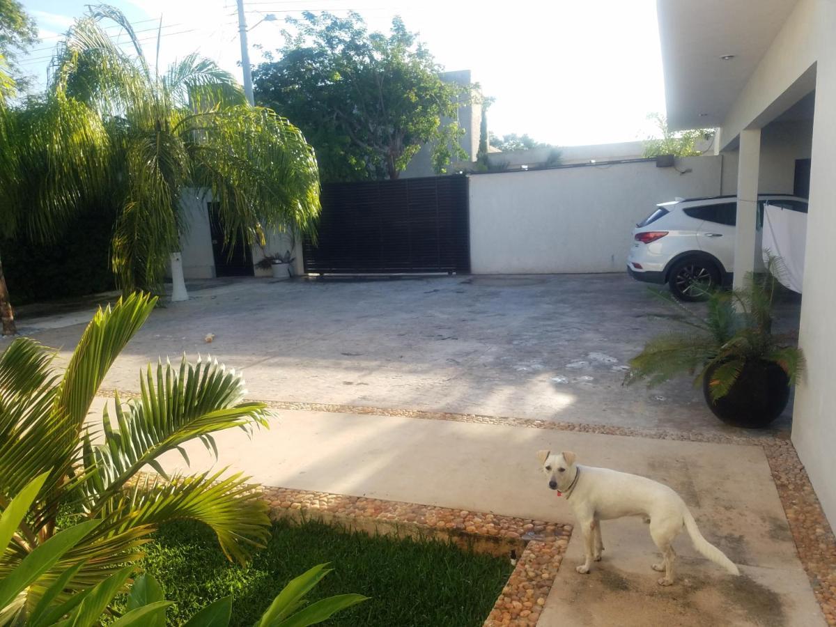 Casa Xcanatun ميريدا المظهر الخارجي الصورة