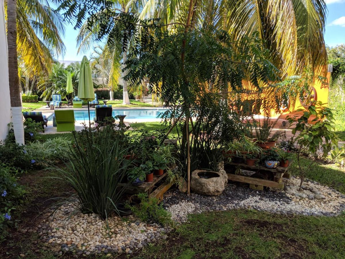 Casa Xcanatun ميريدا المظهر الخارجي الصورة
